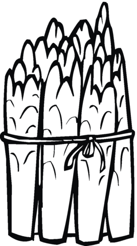 A Bunch Of Asparaguses Coloring Page